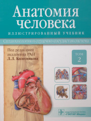 Анатомия человека
