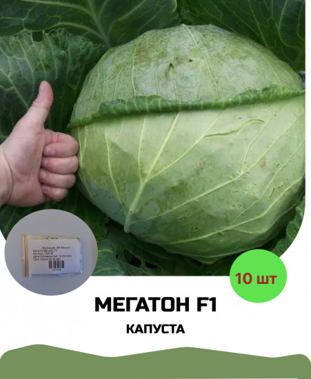 Семена капусты «Мегатон F1»