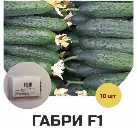 Семена огурца «Габри F1»