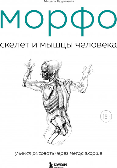 Морфо. Скелет и мышцы человека. Анатомия для художников