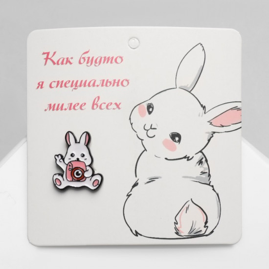 Значок «Зайка с камерой»