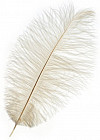 Перо для декора