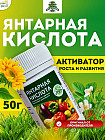 Янтарная кислота