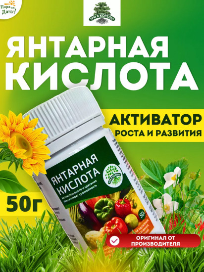 Янтарная кислота