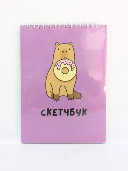 Скетчбук «Capybara donut»