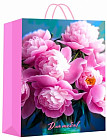 22 × 10 × 31 см