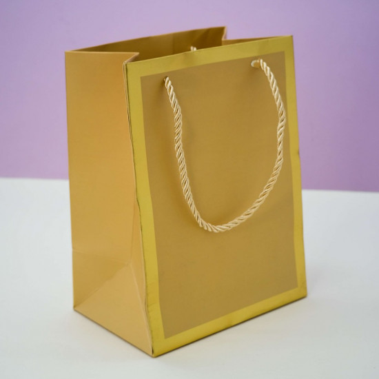 Пакет подарочный (XS) «Classic line»