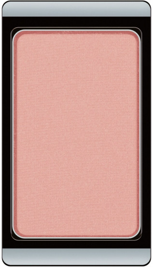 Тени для век «Eyeshadow», оттенок 541 Matt Portuguese Heir