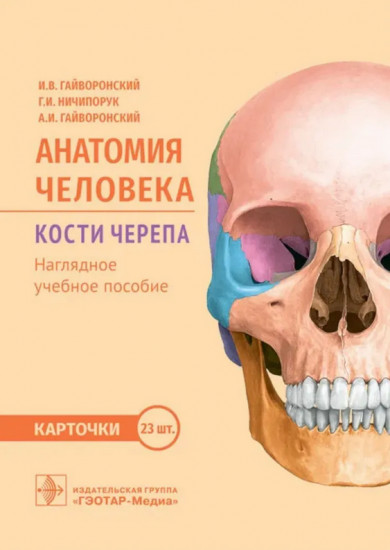 Анатомия человека. Кости черепа. 23 карточки