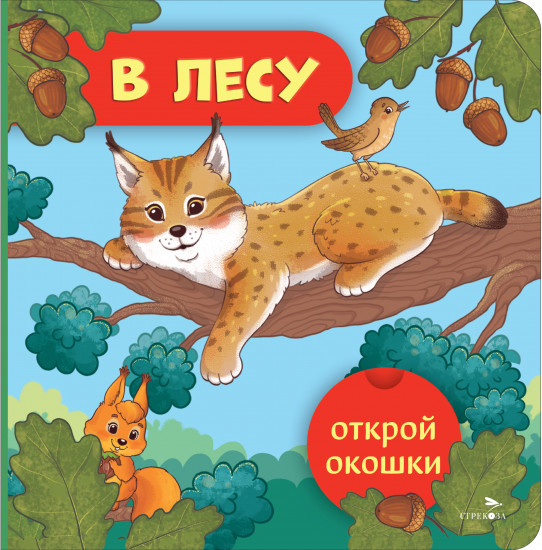 Открой окошки. В лесу