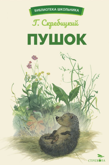 Пушок