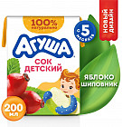 яблоко, шиповник