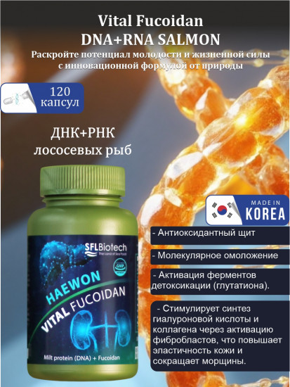 ДНК и РНК семенника рыбы лосося с фукоиданом