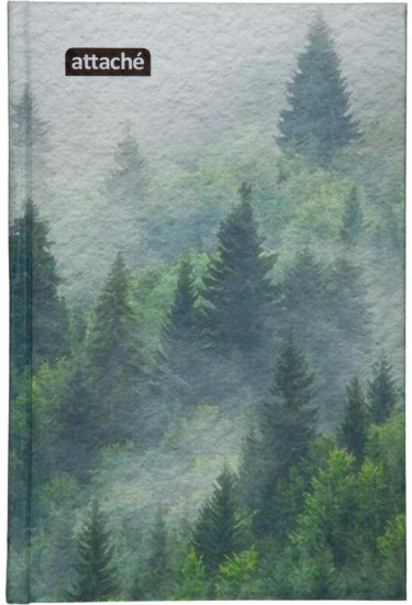 Бизнес-тетрадь «Forest»