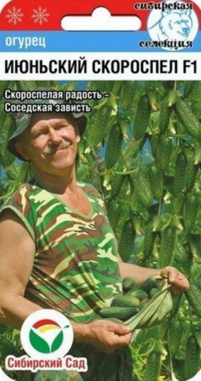 Семена огурца «Июньский скороспел»