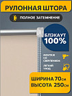 70 × 250 см