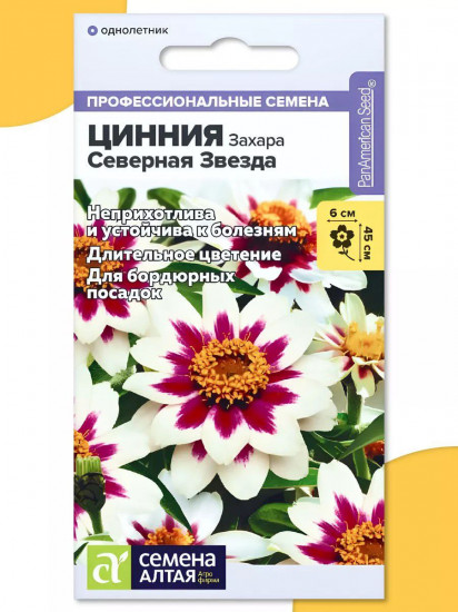 Цинния Захара «Северная звезда»