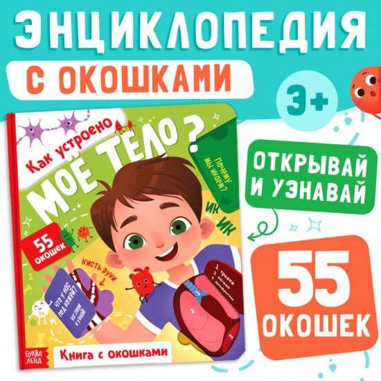 Как устроено моё тело? Книга с окошками