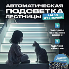 6000K (суық)