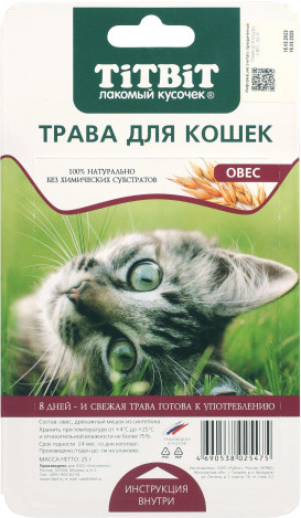Трава для кошек «Овес»