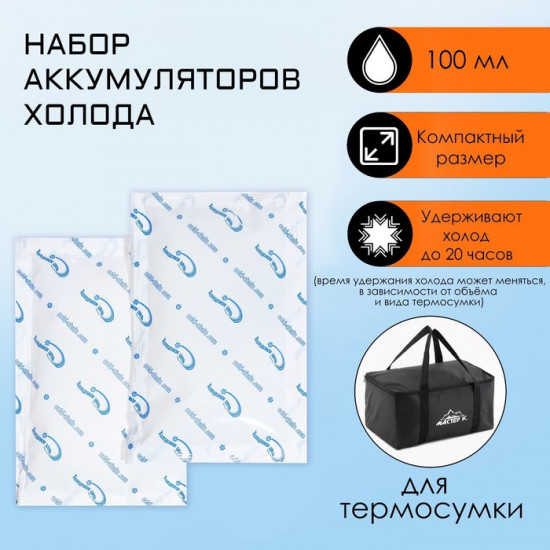 Набор аккумуляторов холода для термосумки