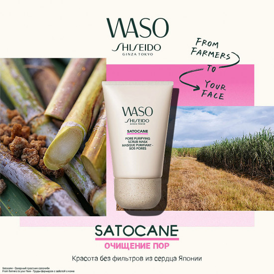 Маска-скраб для глубокого очищения пор «Satocane. Pore Purifying Scrub Mask»
