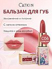C06 Camellia
