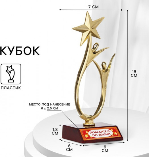 Кубок «Победитель по жизни»