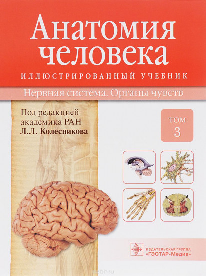 Анатомия человека. Учебник. В 3-х томах. Том 3. Нервная система. Органы чувств