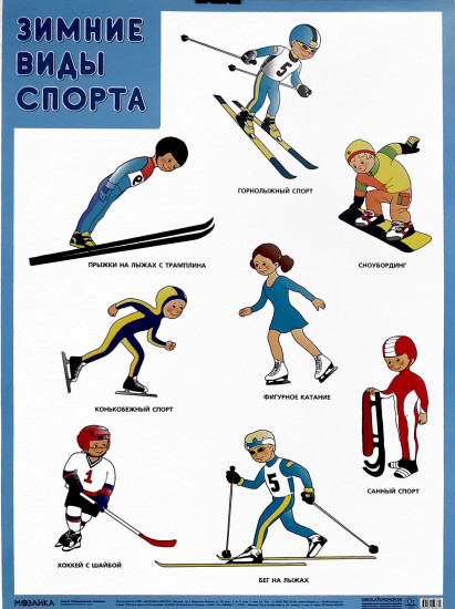 Плакат «Зимние виды спорта»