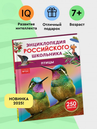 Птицы. Энциклопедия российского школьника