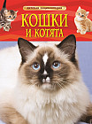 Кошки и котята