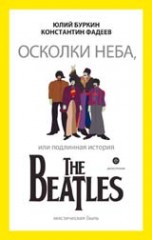 Осколки неба