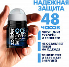 кедр