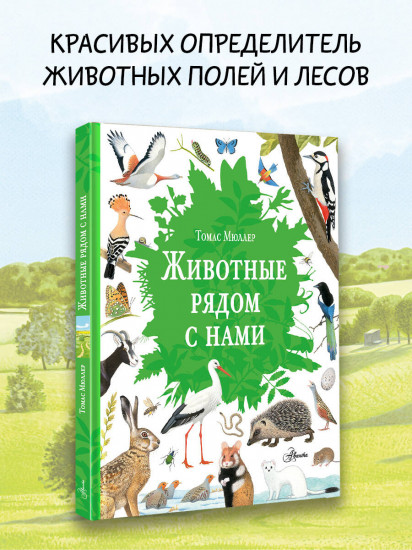 Животные рядом с нами