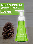 сосна