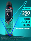 свежесть