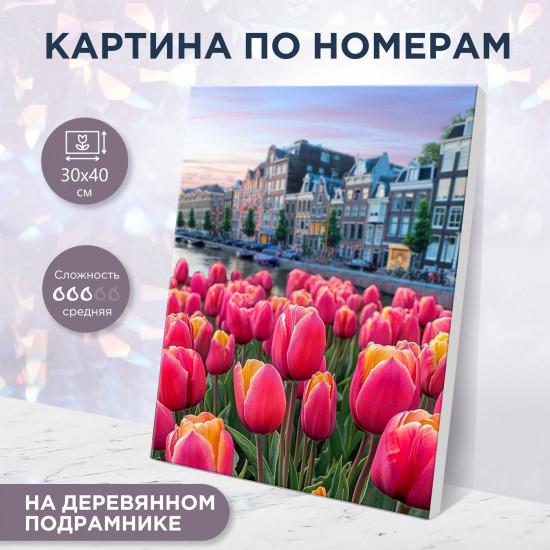 Картина по номерам «Голландские тюльпаны»