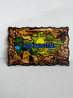 Магнит «Карта Казахстана»