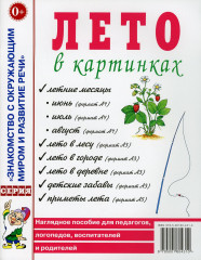 Лето в картинках. Наглядное пособие