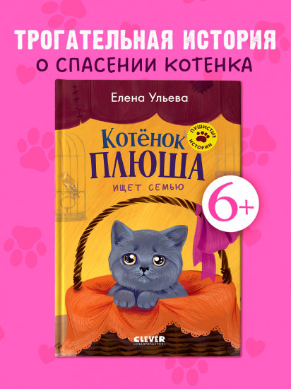 Котёнок Плюша ищет семью