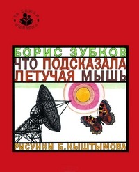 Что подсказала летучая мышь