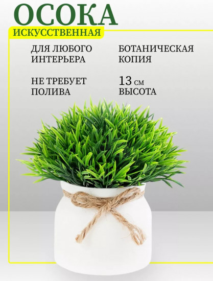 Цветок декоративный «Little Green»