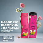 Набор по уходу за волосами c маслом амлы