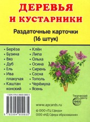 Раздаточные карточки