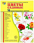 Цветы садовые. Демонстрационные картинки