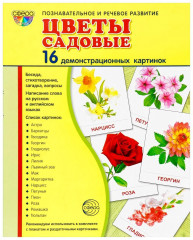 Цветы садовые. Демонстрационные картинки