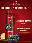 дикая ягода