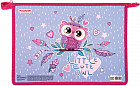 Папка для тетрадей «Owlet»