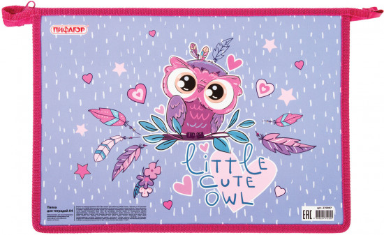 Папка для тетрадей «Owlet»